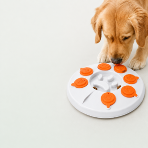🐾 Interactive Pet Puzzle Feeder