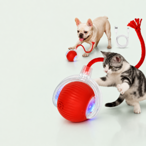 🐾 Interactive Toys for Happy Pets